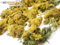 Spur H0 N Landschaftsbau Bepflanzung echtes Islandmoos vers. Farben E568