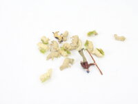 Spur H0 Figuren-Set Schäferei Schäfer mit...