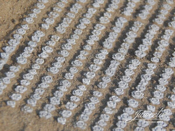 Juweela Spur N TT 21329 Rotkohlfeld, 360 Pflanzen 1:120/160