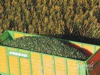 Juweela 23476 Maissilage grün, 400g 1:32