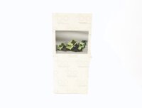 Wiking H0 Modellauto Set 100 Jahre Automobil Daimler Benz...