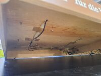 Faller H0 Diorama Kirmes Jahrmarkt mit Riesenrad, Karussell und Schiffsschaukel