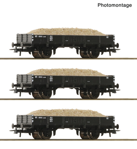 Roco H0 6600259 3er Set Sandwagen NS