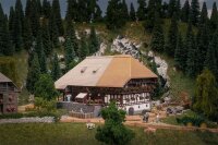 Faller Spur N 232010  Jubiläumsmodell Schwarzwaldhof...