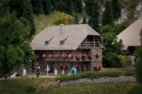 Faller Spur N 232011  Jubiläumsmodell...