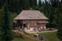 Faller Spur N 232012  Jubiläumsmodell...