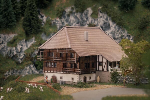 Faller Spur Z 282784  Jubiläumsmodell Schwarzwaldhof