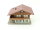 Kibri H0 38805 Gebäude Berghaus Wohnhaus "Chalet in Brienz"