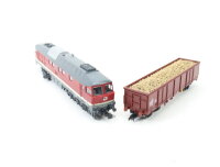 Roco H0 aus 51292 Diesellok "Ludmilla" BR 132 392-2 + Güterwagen 597 2 008-8 DR