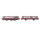 Märklin H0 39980 Schienenbus mit Steuerwagen 798/998 DB / mfx Sound NEM Licht