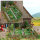 Busch H0 1254 Ausgestaltungs-Set "Bauerngarten" Gemüse & Pflanzen 140 x 85 mm