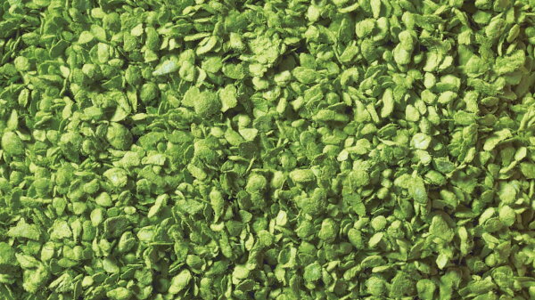 Noch 07142 Laub Belaubungsmaterial hellgrün 50g