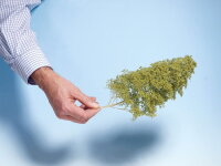 Noch 07142 Laub Belaubungsmaterial hellgrün 50g