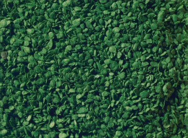 Noch 07144 Laub Belaubungsmaterial für Bäume mittelgrün Streumaterial | 50 gramm