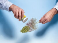 Noch 07144 Laub Belaubungsmaterial für Bäume mittelgrün Streumaterial | 50 gramm