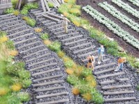 Juweela 28225 H0 Alte Holz Bahnschwellen  20g ( ca. 80 Stück) 1:87