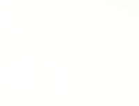 E1641 Fleischmann H0 134065 Ersatzteil Lichtleiter-Satz