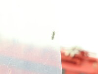 Fleischmann N 7327 Elektrolok E-Lok orientrot BR 141 414-3 DB / NEM