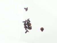 E1641 Fleischmann N 757010 Ersatzteil 10x Steckpuffer re...